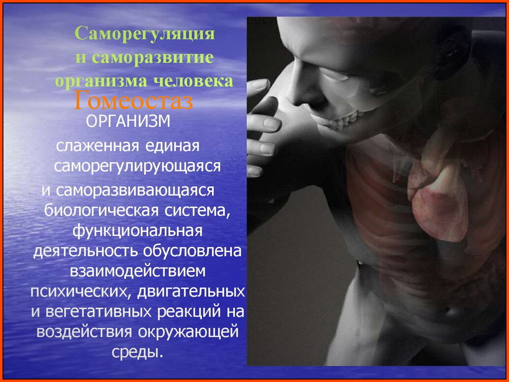 понятие психологической саморегуляции. саморегуляция человека. повышению защитных свойств организма способствует. факторы саморегуляции организма человека. саморегуляция гомеостаз.