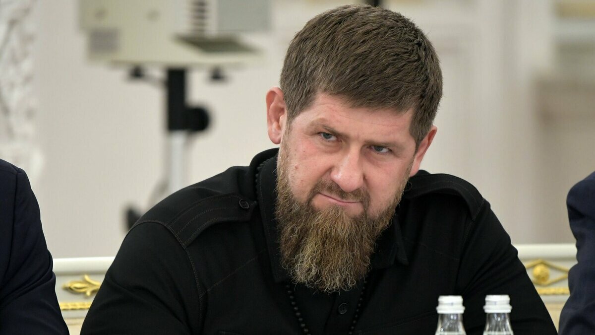 Добавьте описание