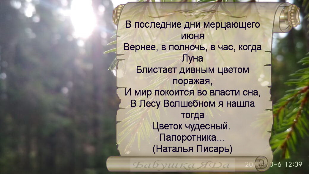 Спящий Дух Леса