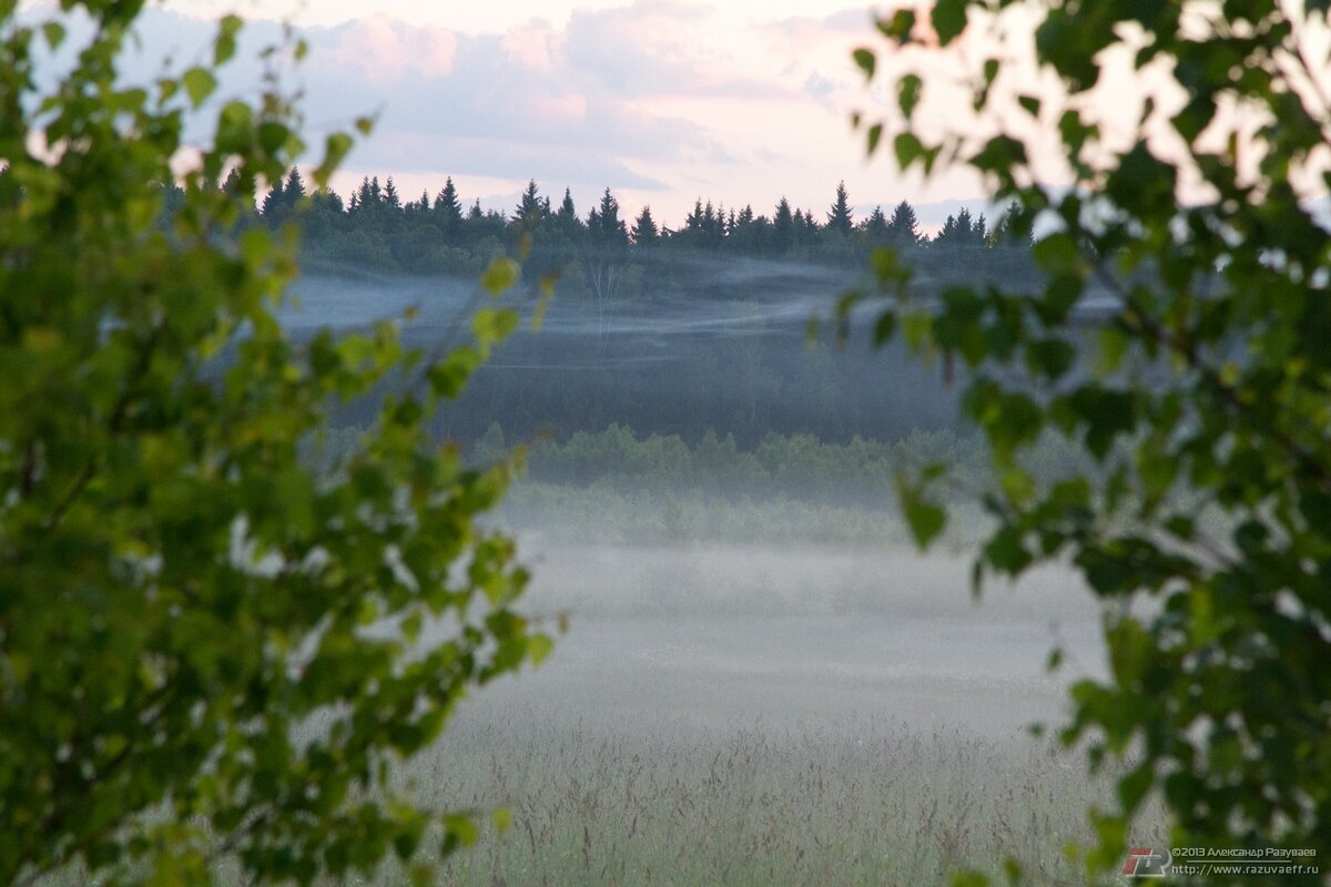 5 часов июньского утра