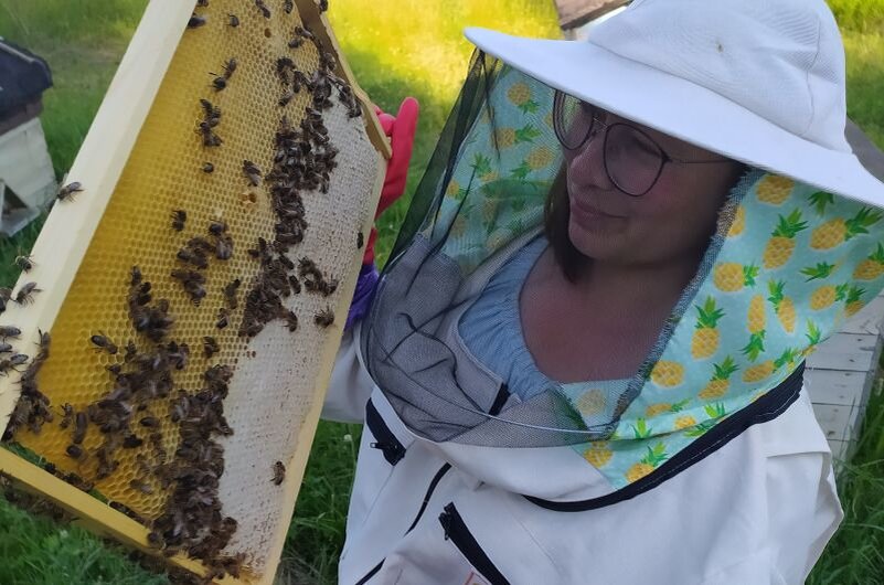 Проверяю рамки.