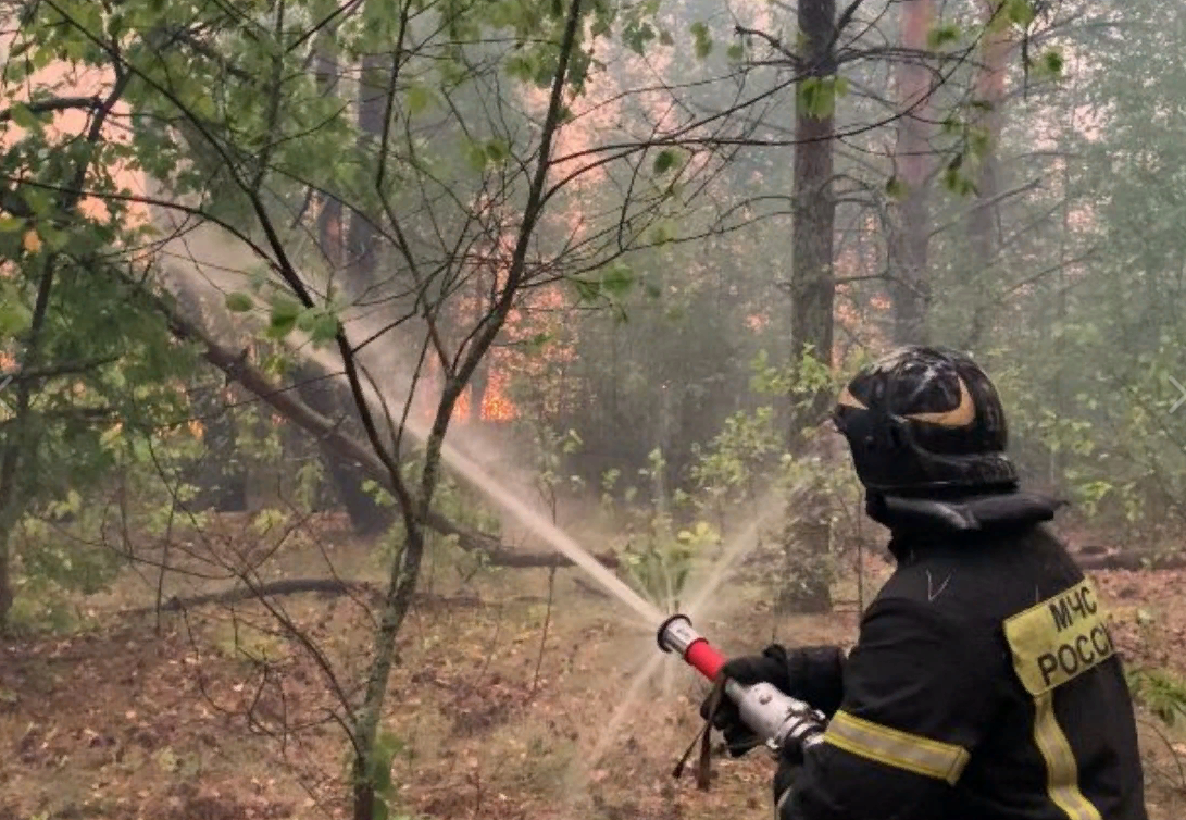 Фото: официальная страница ГУ МЧС России по Рязанской области во "ВКонтакте"