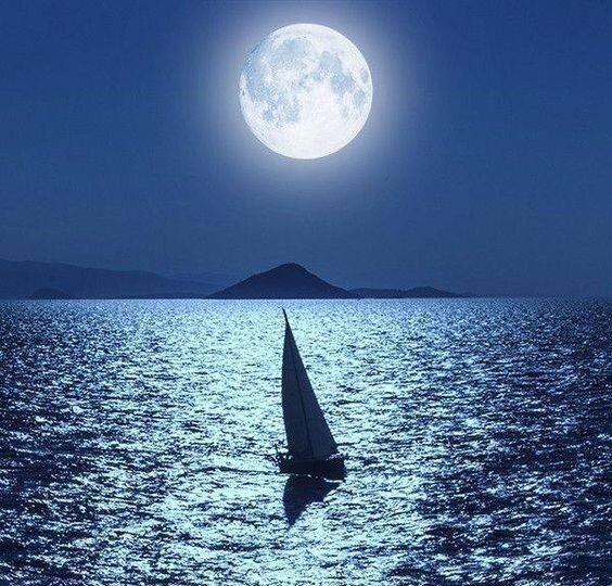 Яхтсмены-любители в своих странствиях перемещаются из привычного для них «сухопутного» мира совершенно в новые необычные условия.