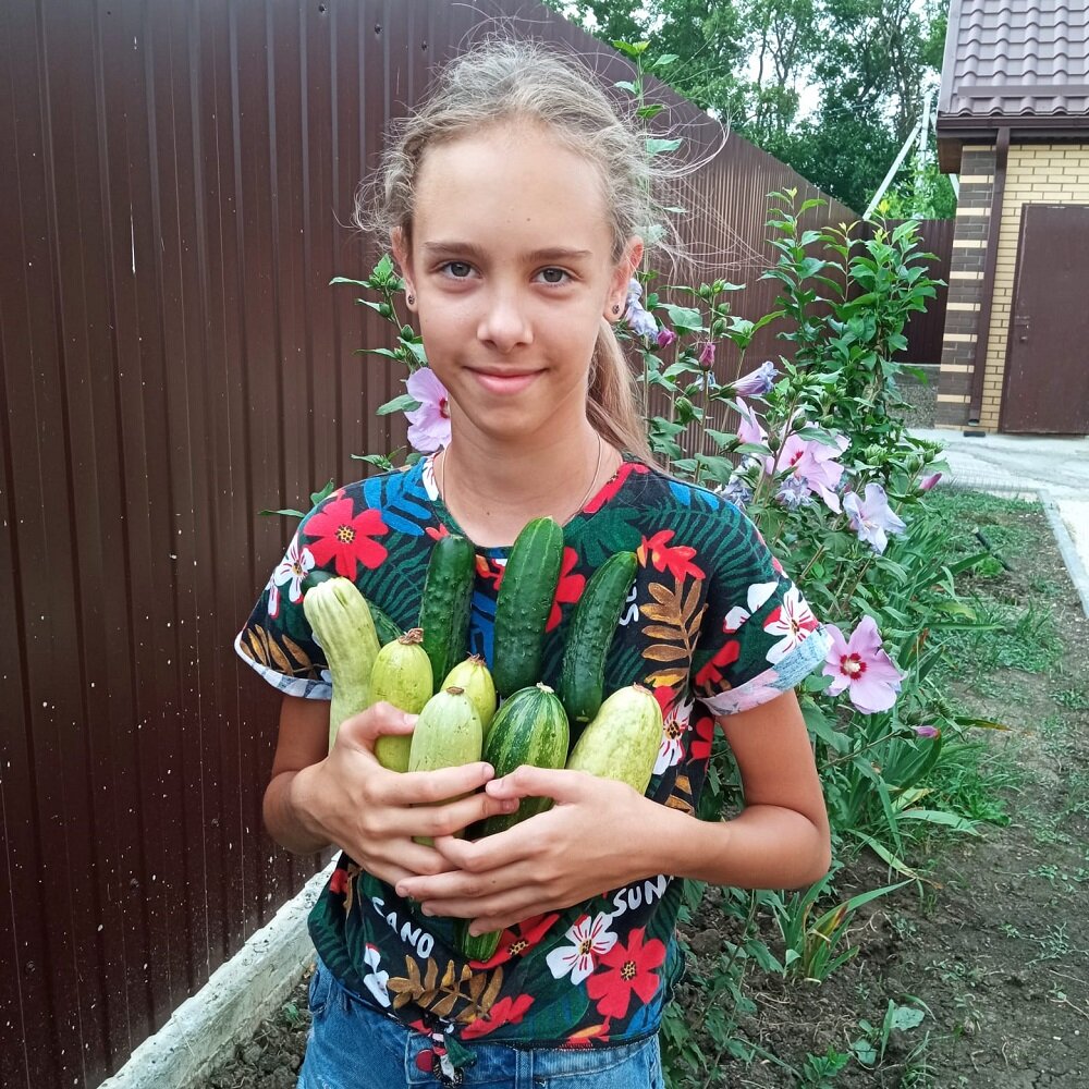    "Кабачковой счастье" Елены Киселёвой. Фото: Из личного архива