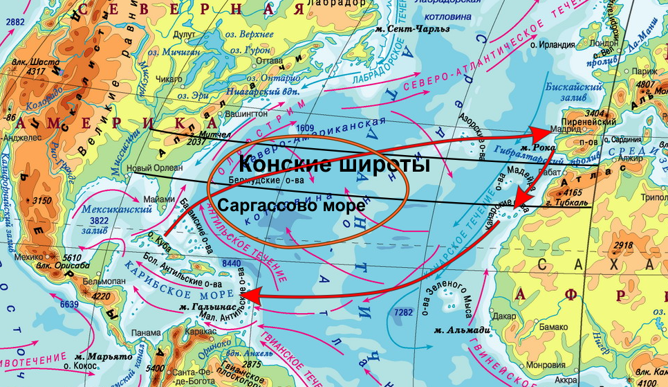 Саргассово море границы на карте. Сартасово море на карт. Саргассово море на карте. Саргассово море на карте полушарий.