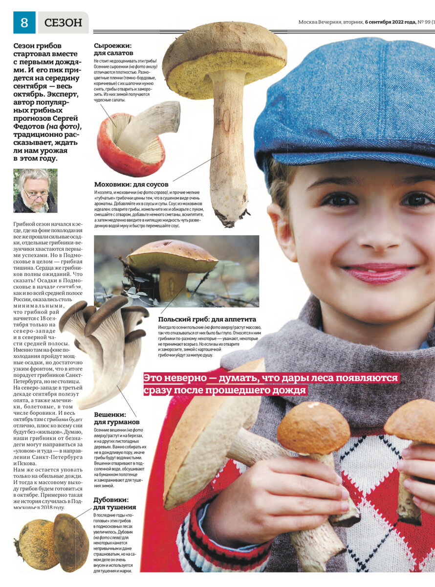 Статья(фрагмент)про прогнозы грибов на осень…..Скрин с сайта «Вечерняя Москва»