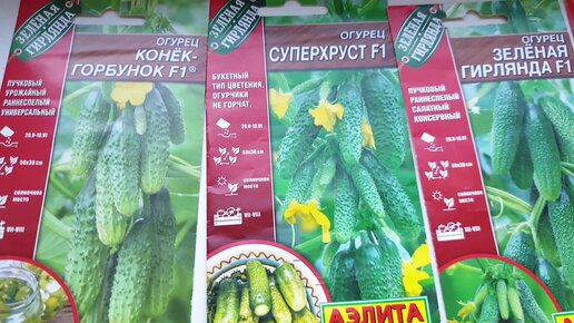 Выбираем Самые Урожайные сорта Огурцов! Пучковые огурцы. Семена Аэлита ...