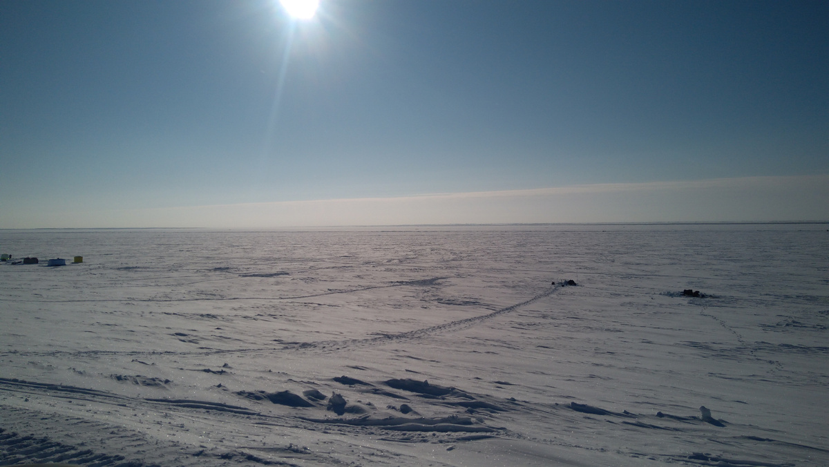 Бескрайняя белая 