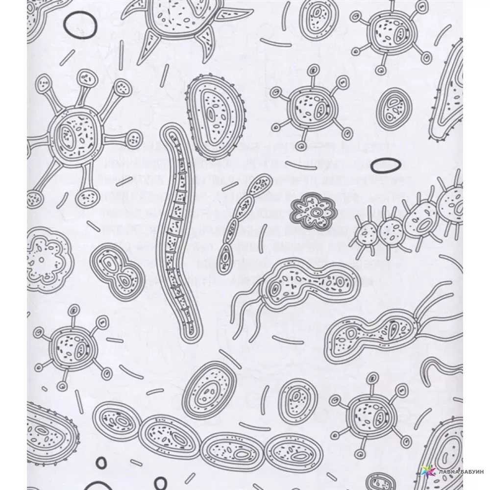 Вирусы и бактерии.