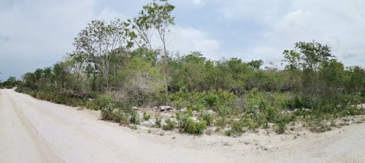 Участок под постройку кондоминиума или отеля в Тулуме