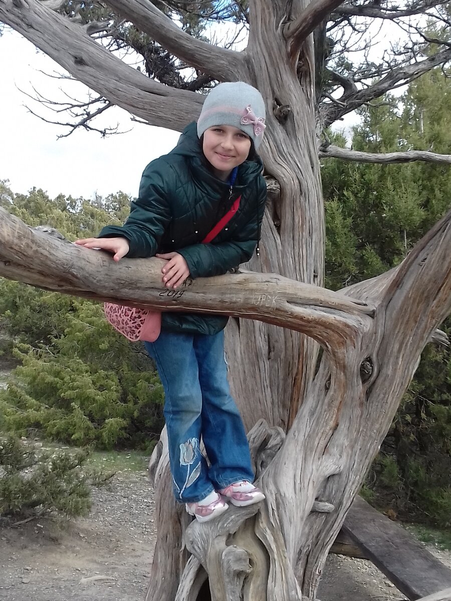 Обычная прогулка