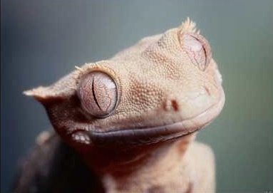 Картинка из открытого источника 