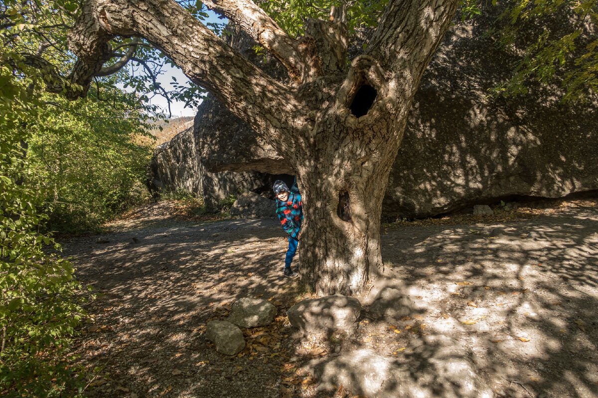 Кавказская пленница алушта места съемок фото