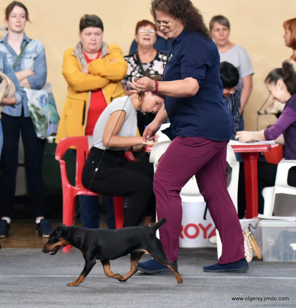 Фото автора