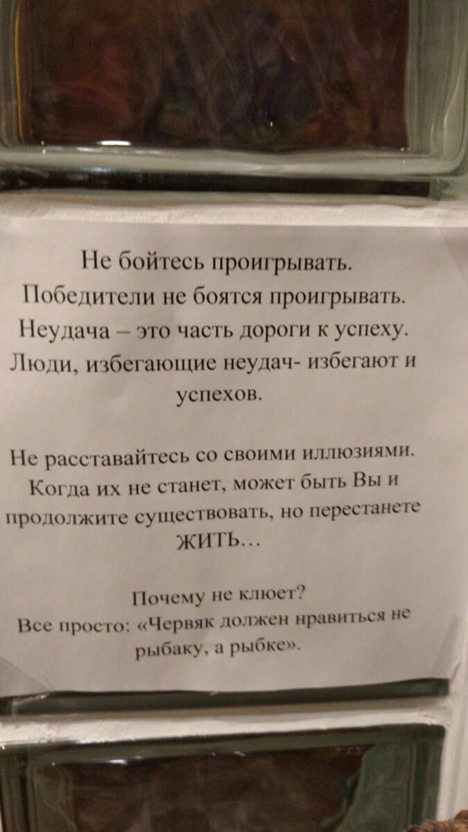 Личный архив автора. На нашей кухне, на  стеклянной стене из блоков.