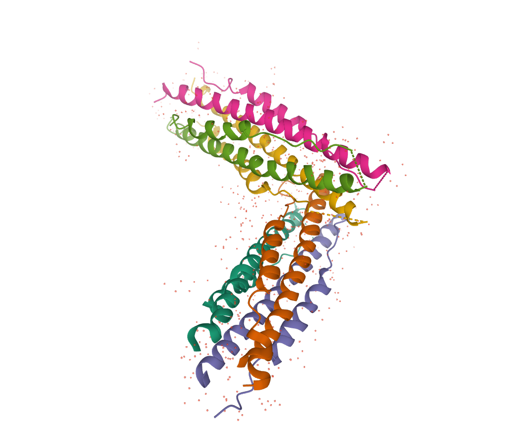 Тот самый белок, который является основой "шипов", давших название коронавирусам