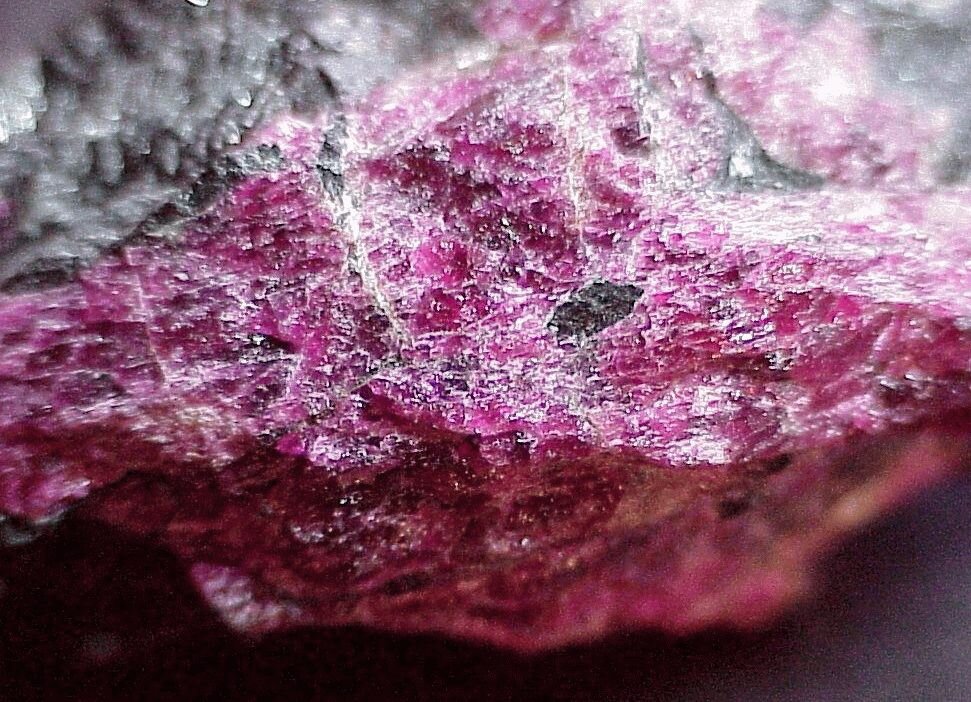 Яндекс картинки