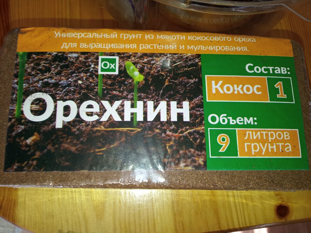 Фото из личного архива