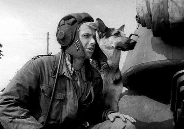 "Шарик" - Трымер, Спик и Атак.