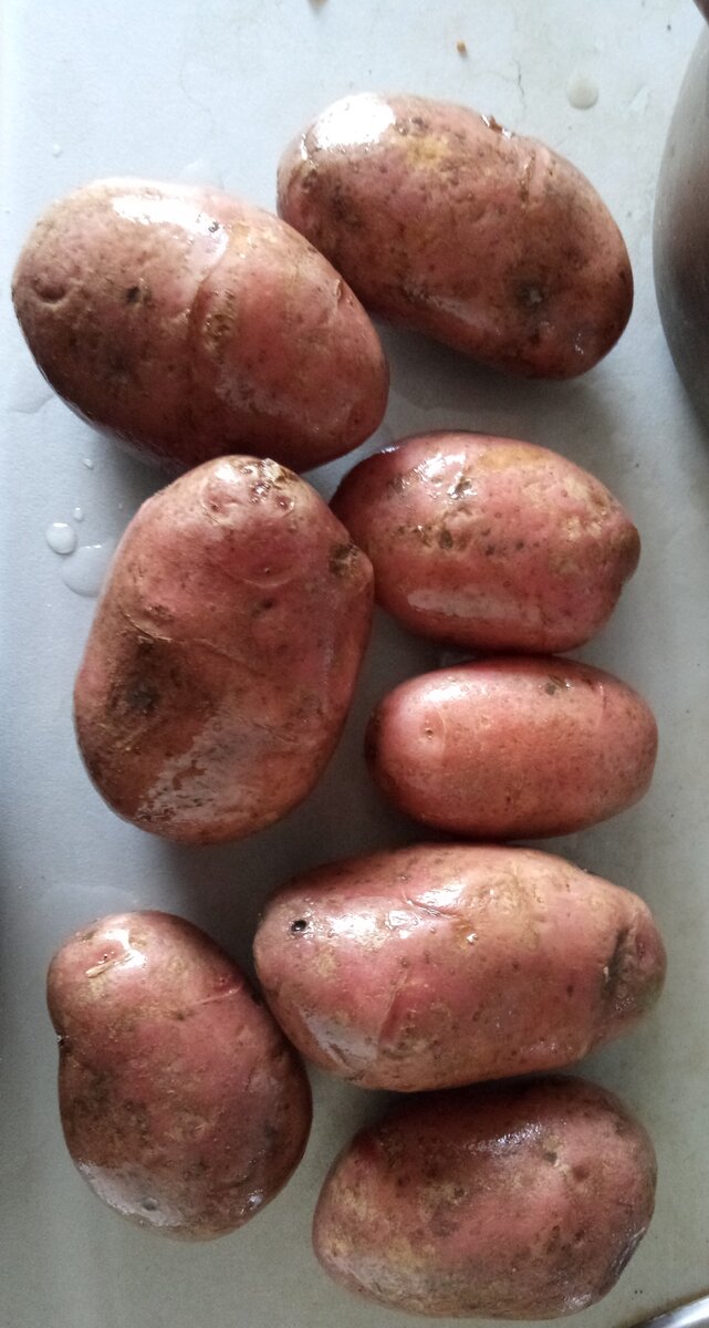 Картофель мытый