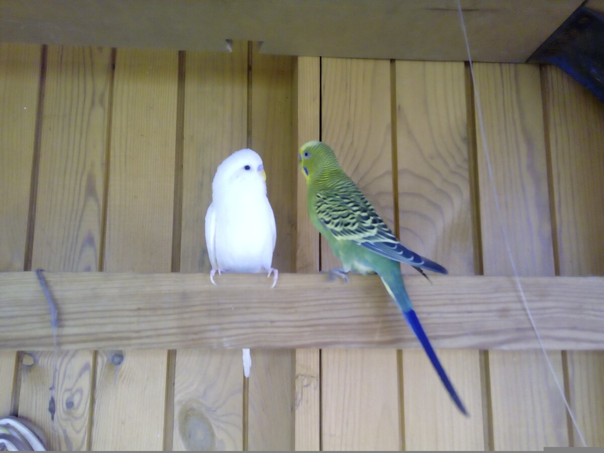 Личное фото.