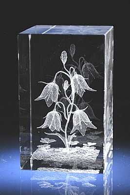 Картинка с сайта компании LaserGraphicArt