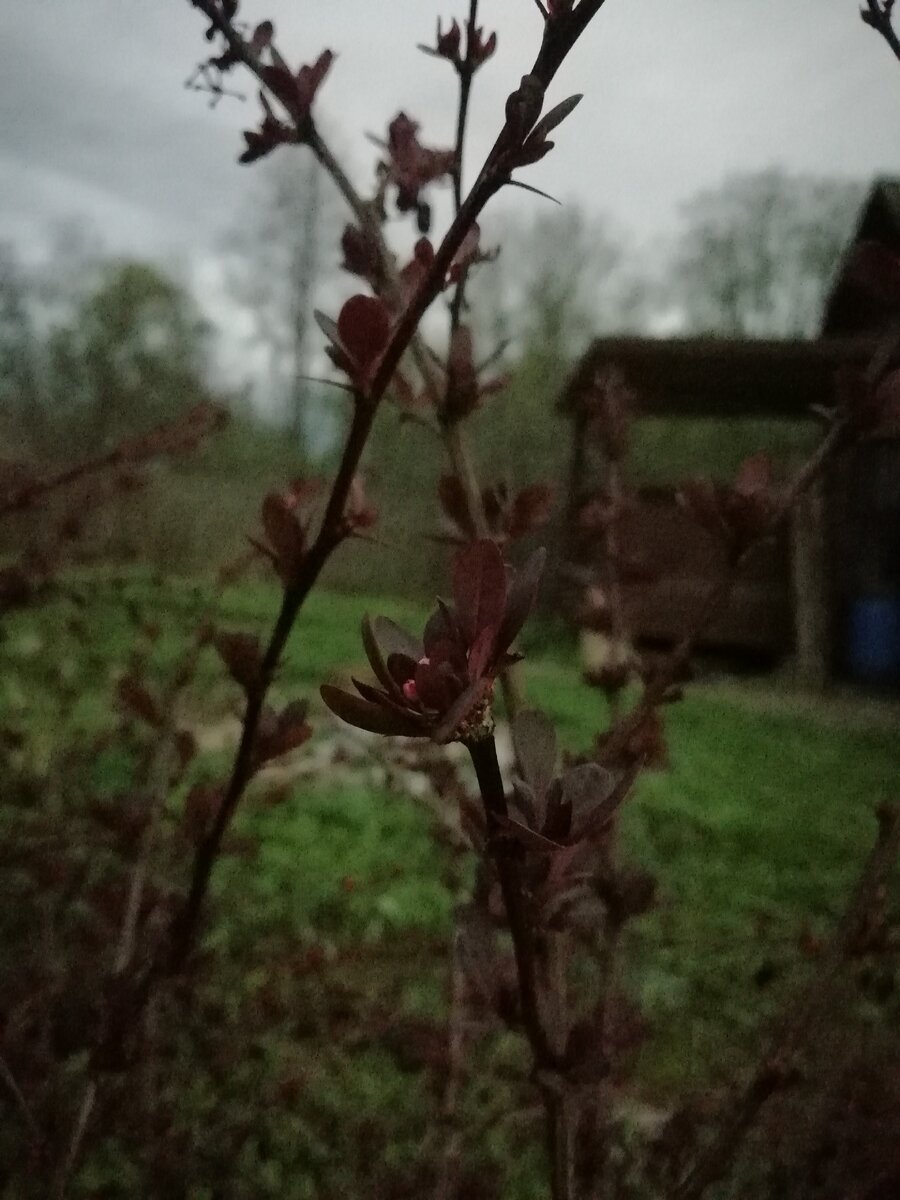 Day 1
