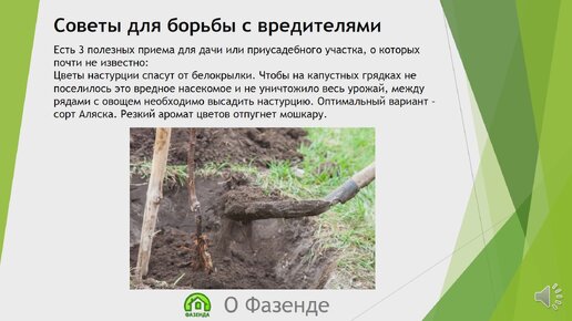 10 ценных секретов для дачи, про которые точно не знал