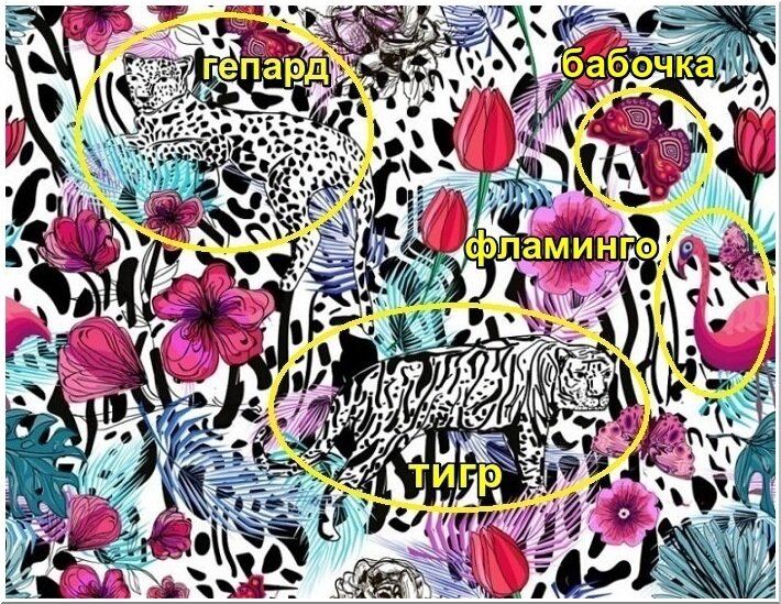 картинка-подсказка