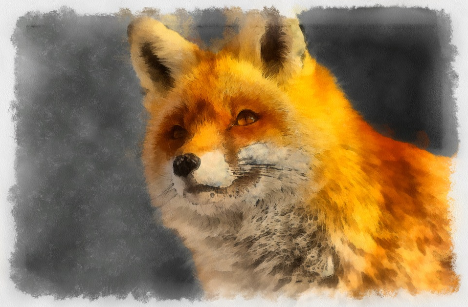 Эту красоту создал bugent с Pixabay 