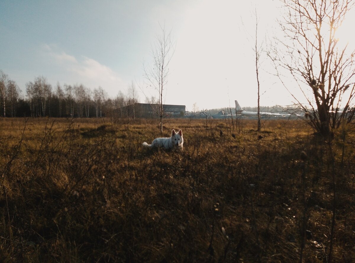 фото: из личного архива | ленни лоренц