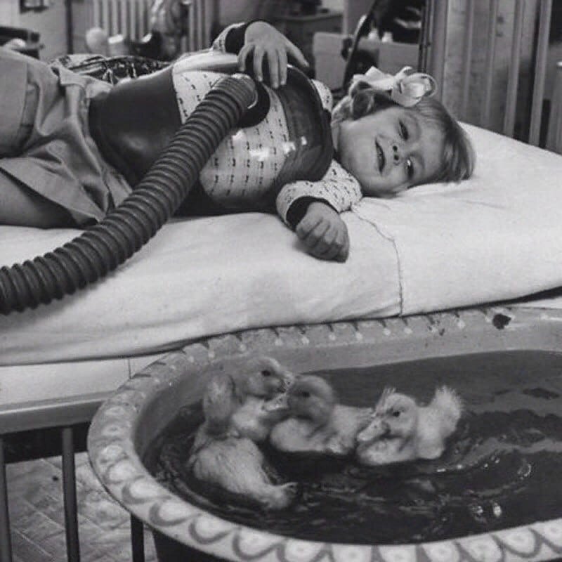 Утятотерапия 