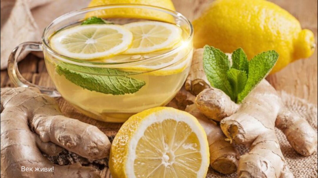 Фото из свободных источников