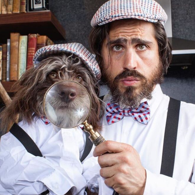 Фото из свободных источников 