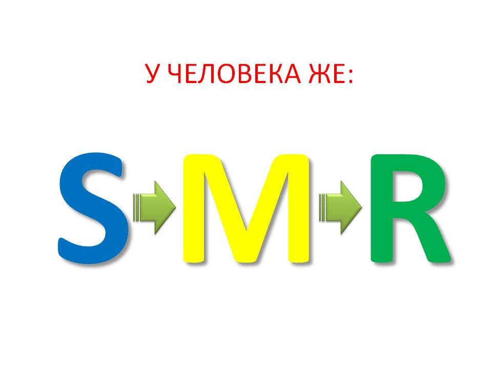 Мы не перед кем не обязаны у нас есть одна обязанность быть счастливыми