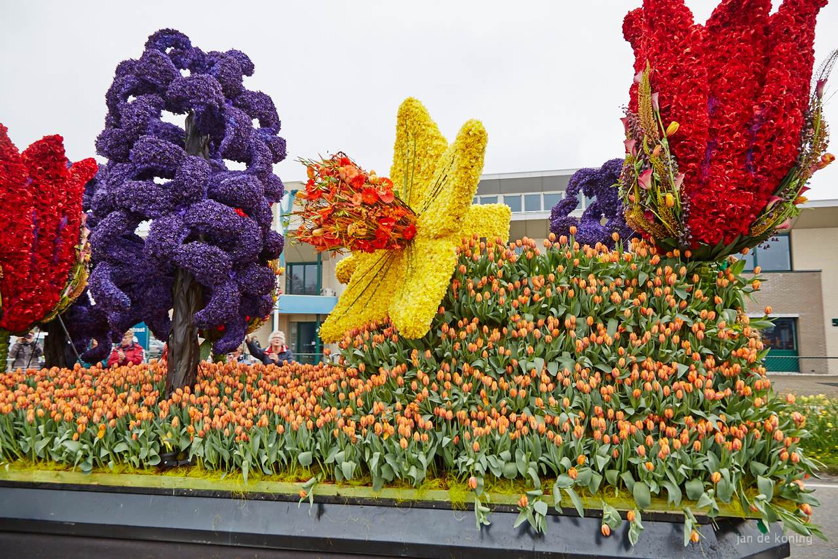 На выставке цветов был сделан. Нидерланды парад цветов 2020. Нидерланды парад тюльпанов. Парад цветов в Голландии 2021. Парад цветов Bloemencorso в Голландии.