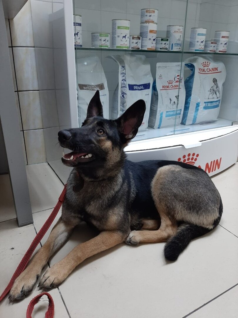 Фотография из личного архива