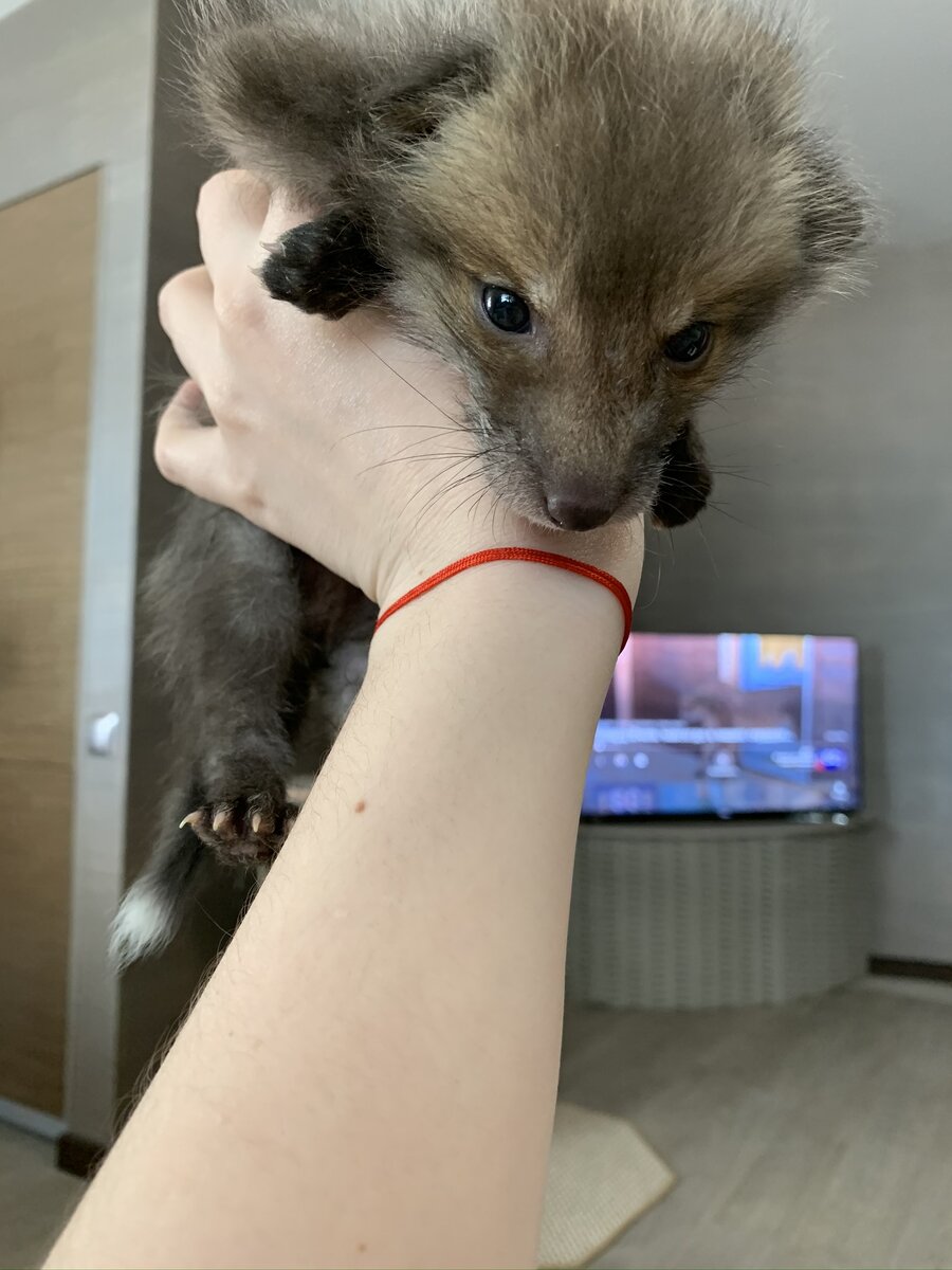 Первая фотография дома. Совсем кроха.