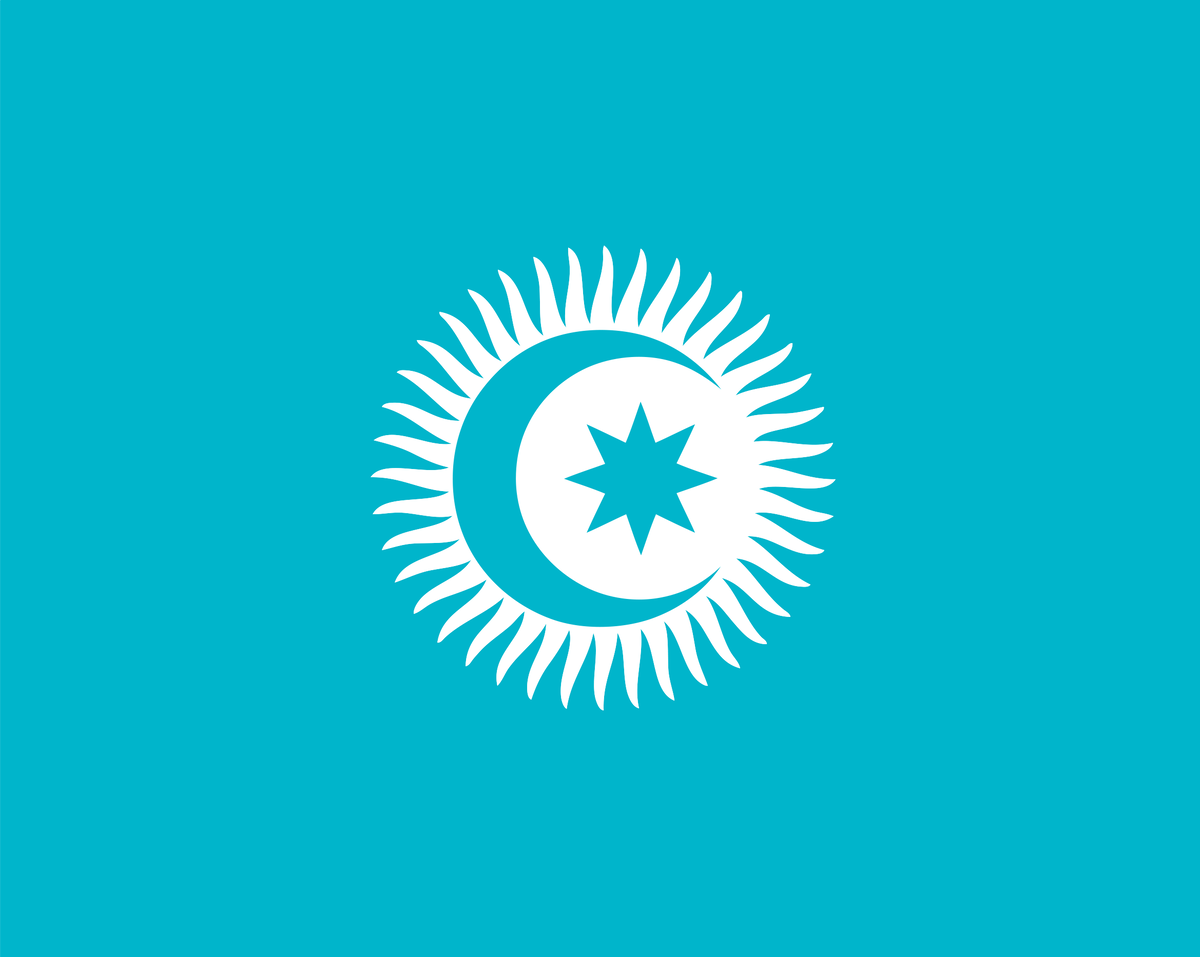 Изначально в "Тюркский Совет" входили четыре страны , поэтому  Флаг организации носит символы каждой страны. Так,  бирюзовый цвет флага символизирует Казахстан, восьмиконечная звезда - Азербайджан, полумесяц - Турцию, солнце - Кыргызстан. 