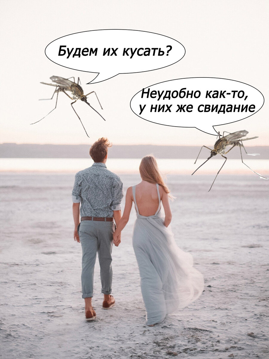 Можно еще научить комаров манерам. Но это гораздо сложнее. Источник: https://pixabay.com/ru/