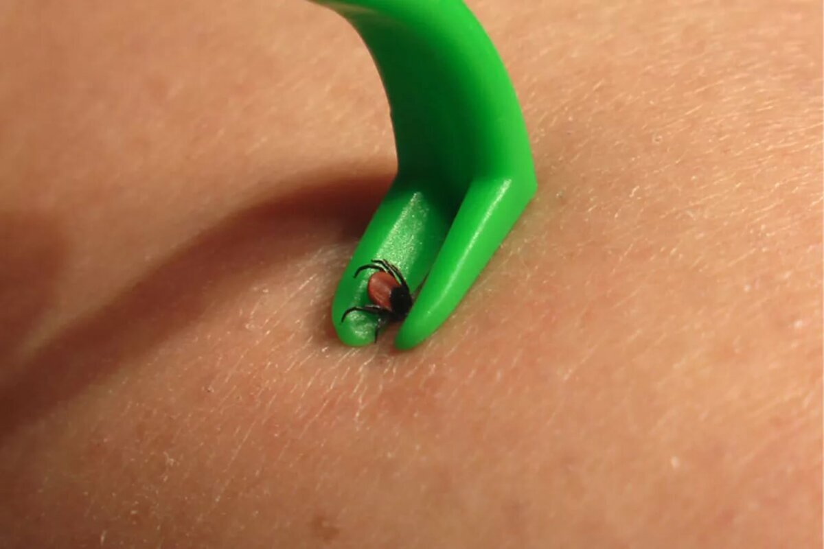 Источник: Яндекс.Картинки