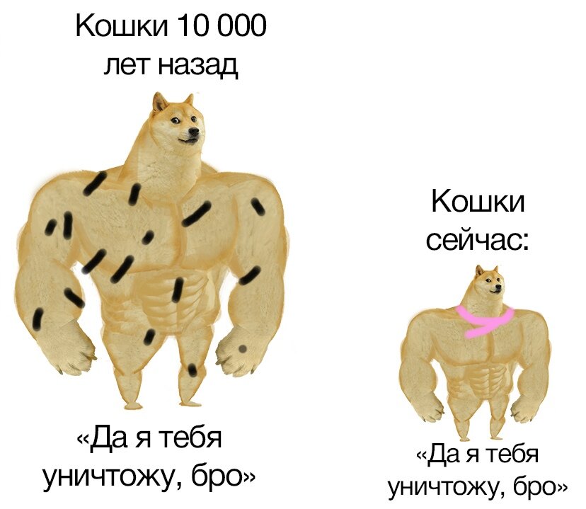 АХААХААХХА