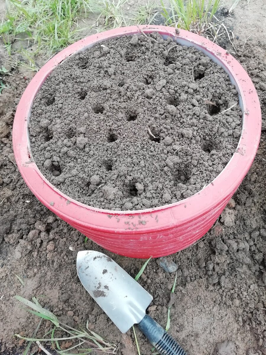 Насыпала землю....листайте