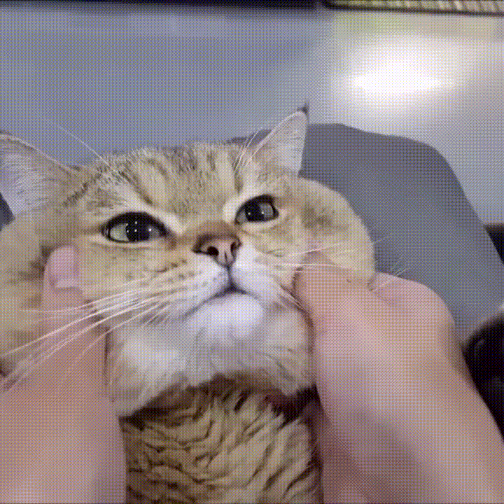 Нежный слайм...