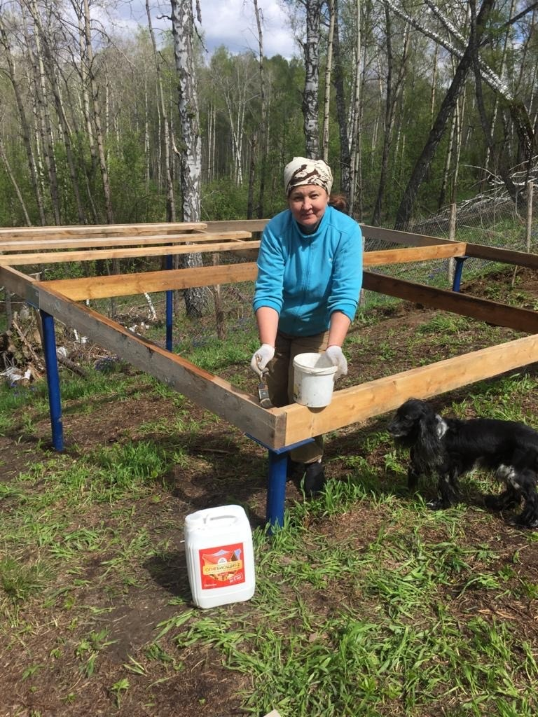огнебиощит, покупали в Леруа Мерлен