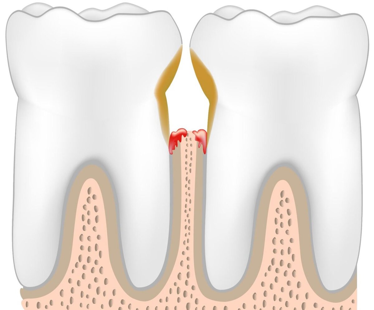 Фото с сервиса Яндекс Картинки