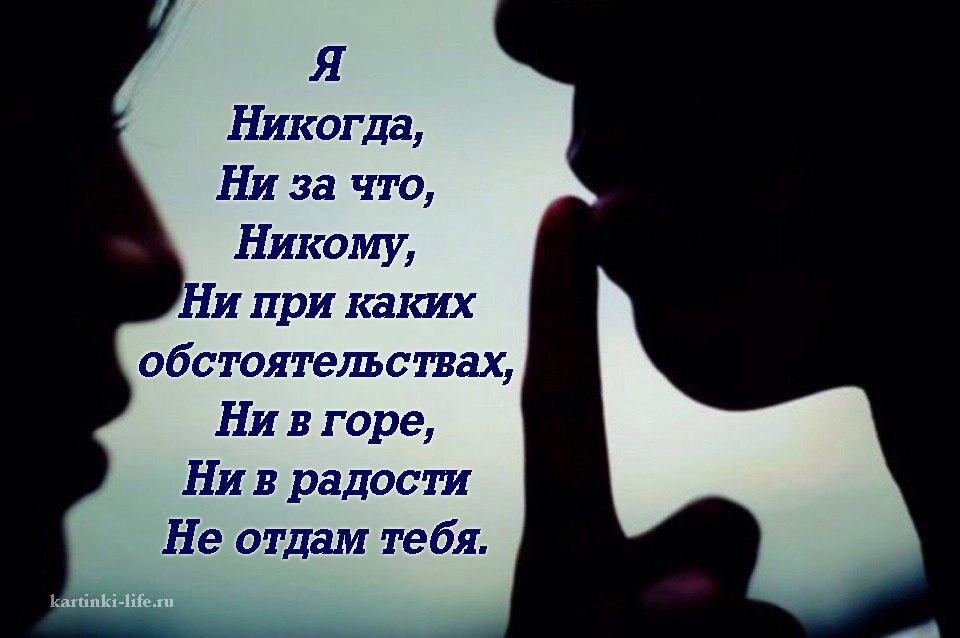 Ты мой не отдам никому картинки