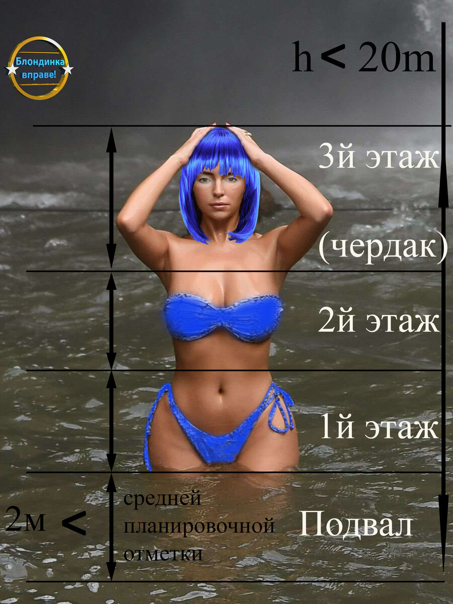 Коллаж "Блондинка вправе!"