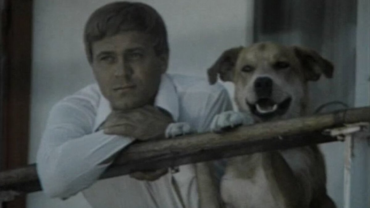 кадр из фильма "Солёный пёс", 1973  г.