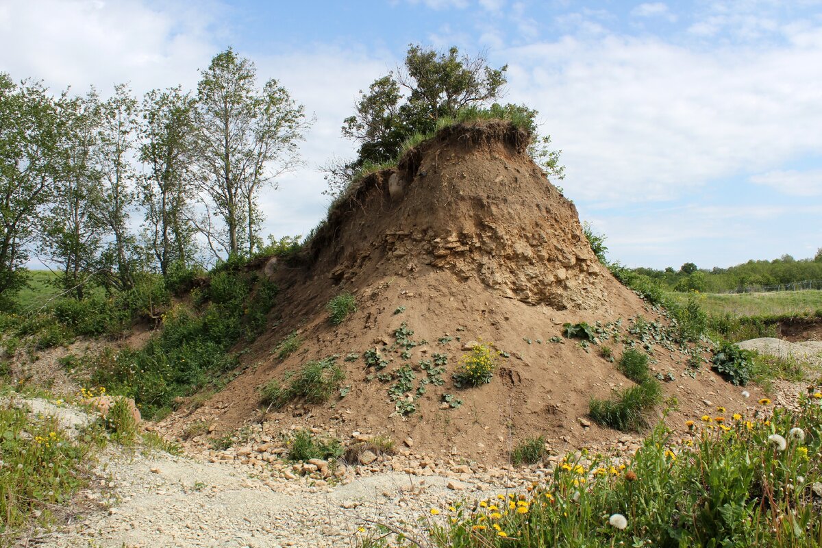 Останец в карьере. Деревня Вильповицы Ленинградской области 